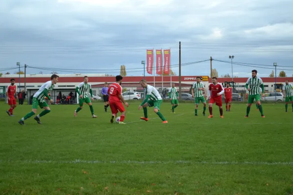 1. Herren vs. KineEm Halle 2. am 29.10.2023