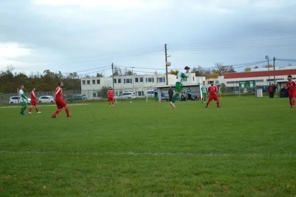 1. Herren vs. KineEm Halle 2. am 29.10.2023