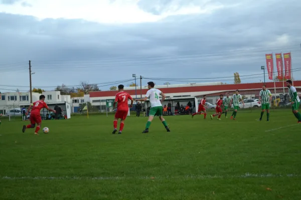 1. Herren vs. KineEm Halle 2. am 29.10.2023
