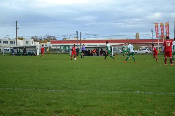 1. Herren vs. KineEm Halle 2. am 29.10.2023