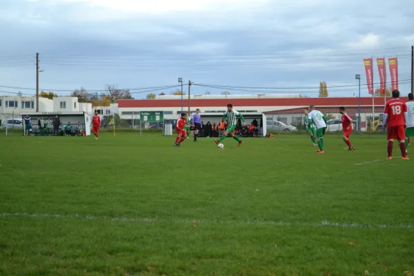 1. Herren vs. KineEm Halle 2. am 29.10.2023