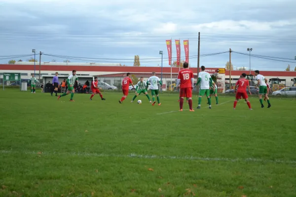 1. Herren vs. KineEm Halle 2. am 29.10.2023