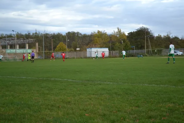 1. Herren vs. KineEm Halle 2. am 29.10.2023