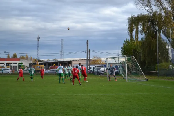 1. Herren vs. KineEm Halle 2. am 29.10.2023