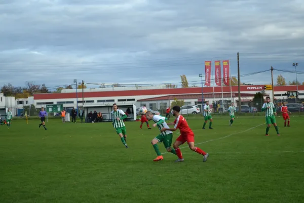 1. Herren vs. KineEm Halle 2. am 29.10.2023