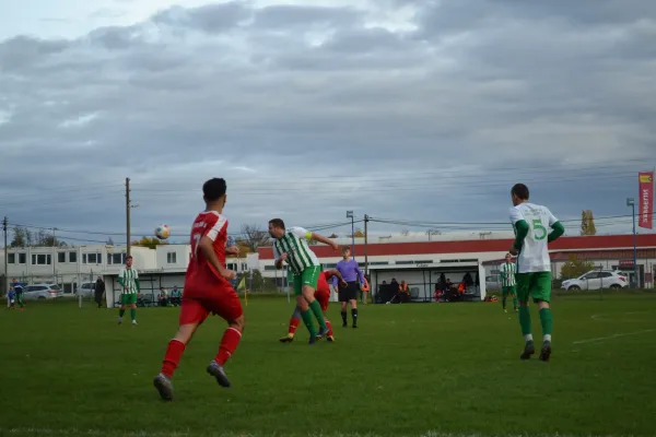 1. Herren vs. KineEm Halle 2. am 29.10.2023