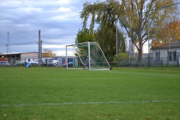 1. Herren vs. KineEm Halle 2. am 29.10.2023
