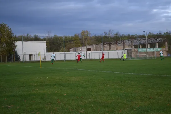 1. Herren vs. KineEm Halle 2. am 29.10.2023