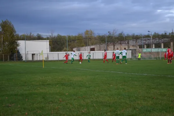 1. Herren vs. KineEm Halle 2. am 29.10.2023