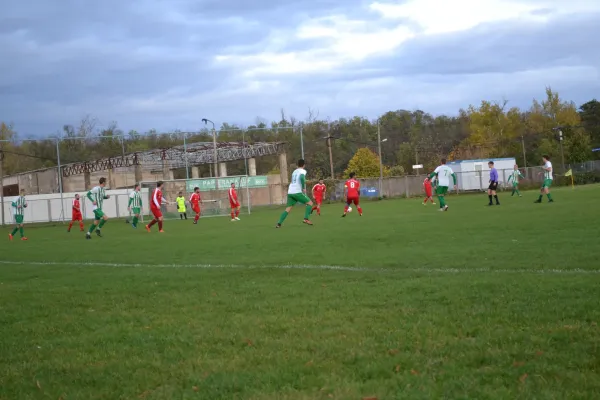 1. Herren vs. KineEm Halle 2. am 29.10.2023
