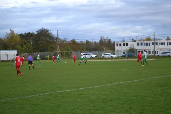 1. Herren vs. KineEm Halle 2. am 29.10.2023