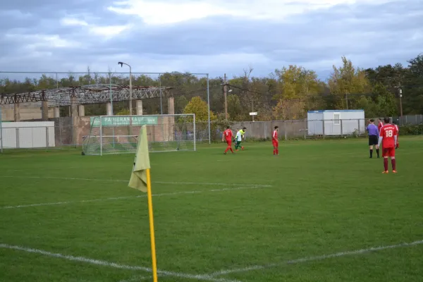 1. Herren vs. KineEm Halle 2. am 29.10.2023