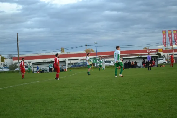 1. Herren vs. KineEm Halle 2. am 29.10.2023
