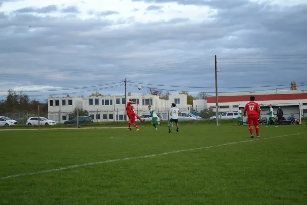 1. Herren vs. KineEm Halle 2. am 29.10.2023