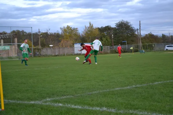 1. Herren vs. KineEm Halle 2. am 29.10.2023