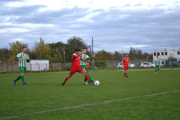 1. Herren vs. KineEm Halle 2. am 29.10.2023