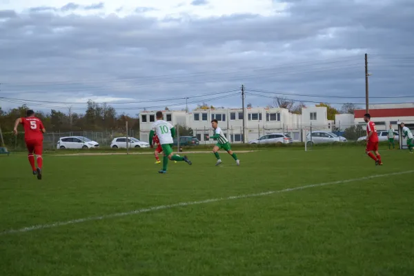1. Herren vs. KineEm Halle 2. am 29.10.2023