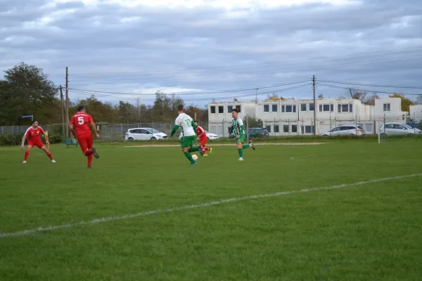 1. Herren vs. KineEm Halle 2. am 29.10.2023