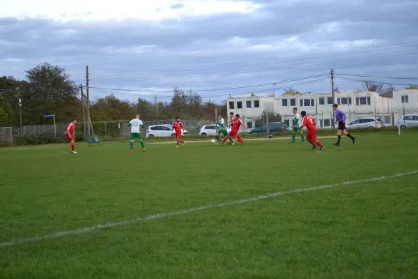 1. Herren vs. KineEm Halle 2. am 29.10.2023