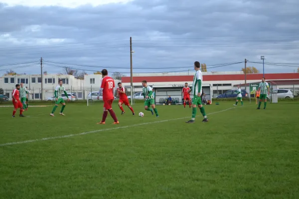 1. Herren vs. KineEm Halle 2. am 29.10.2023