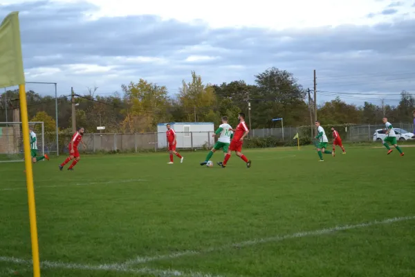 1. Herren vs. KineEm Halle 2. am 29.10.2023