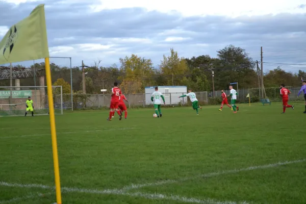1. Herren vs. KineEm Halle 2. am 29.10.2023