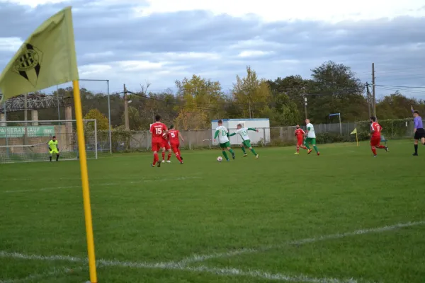 1. Herren vs. KineEm Halle 2. am 29.10.2023