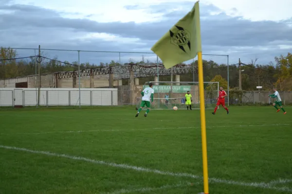 1. Herren vs. KineEm Halle 2. am 29.10.2023