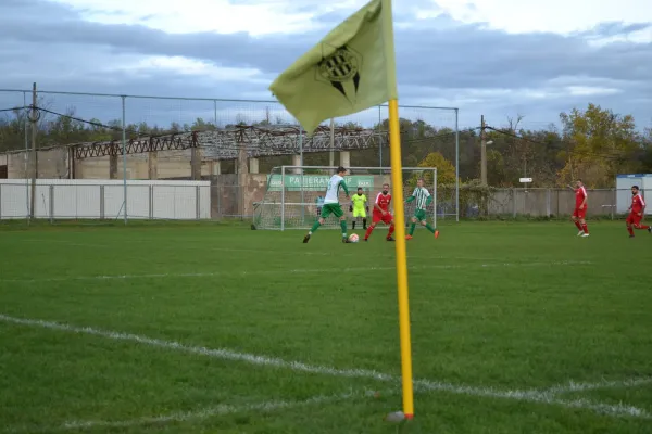 1. Herren vs. KineEm Halle 2. am 29.10.2023