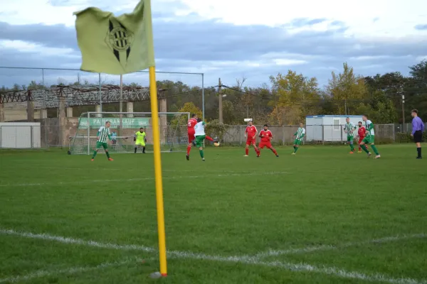 1. Herren vs. KineEm Halle 2. am 29.10.2023