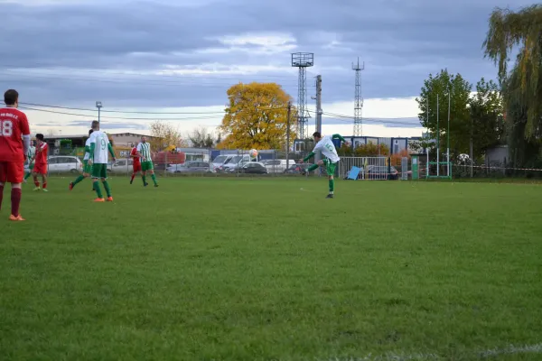 1. Herren vs. KineEm Halle 2. am 29.10.2023