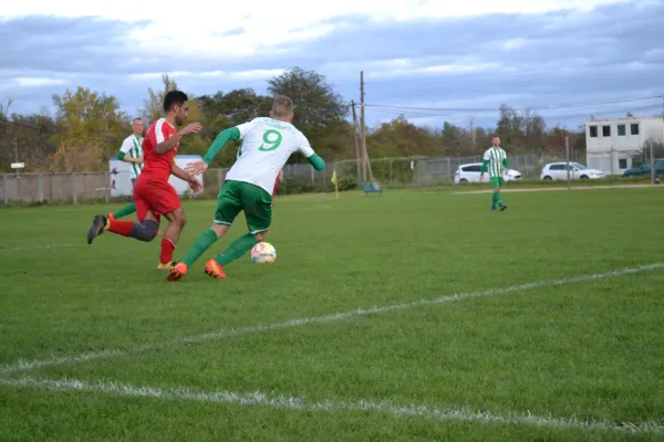1. Herren vs. KineEm Halle 2. am 29.10.2023
