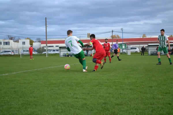 1. Herren vs. KineEm Halle 2. am 29.10.2023