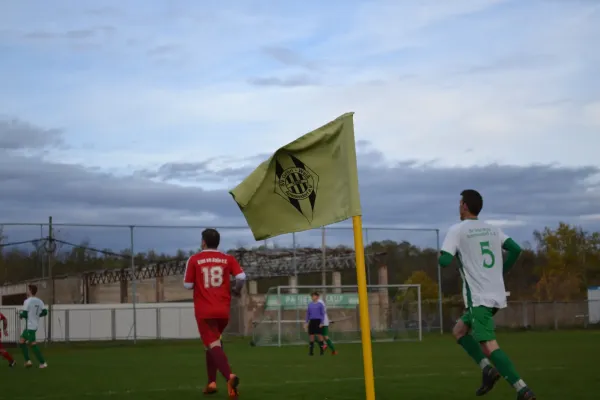 1. Herren vs. KineEm Halle 2. am 29.10.2023