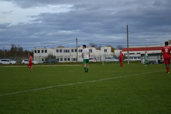 1. Herren vs. KineEm Halle 2. am 29.10.2023