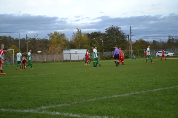1. Herren vs. KineEm Halle 2. am 29.10.2023