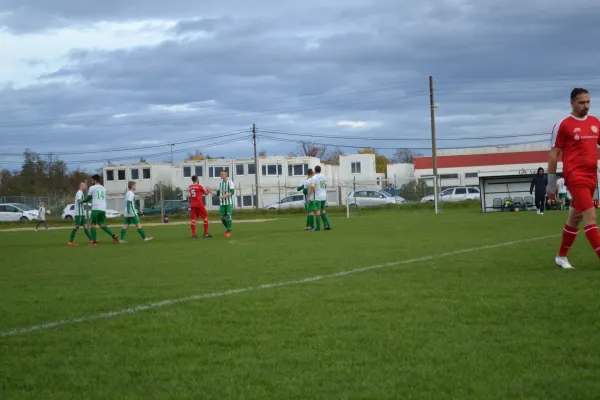 1. Herren vs. KineEm Halle 2. am 29.10.2023