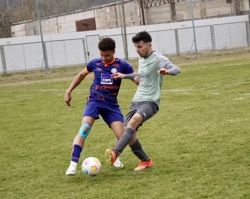 23.03.2025 SV G/W Ammendorf vs. VfL Halle 96 II