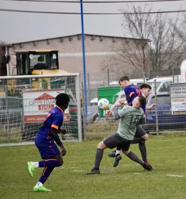 23.03.2025 SV G/W Ammendorf vs. VfL Halle 96 II