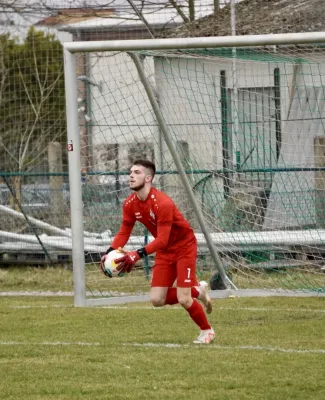 23.03.2025 SV G/W Ammendorf vs. VfL Halle 96 II