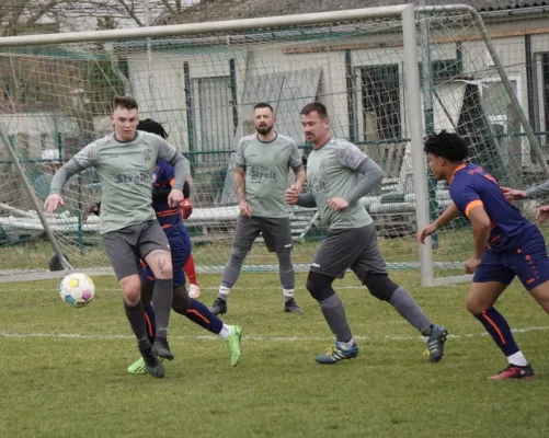23.03.2025 SV G/W Ammendorf vs. VfL Halle 96 II