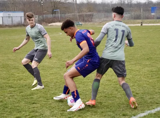 23.03.2025 SV G/W Ammendorf vs. VfL Halle 96 II