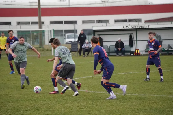 23.03.2025 SV G/W Ammendorf vs. VfL Halle 96 II