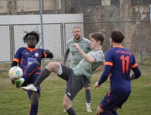 23.03.2025 SV G/W Ammendorf vs. VfL Halle 96 II