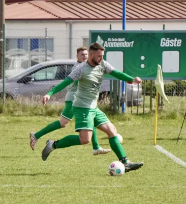 06.04.2025 SV G/W Ammendorf vs. Kine em Halle
