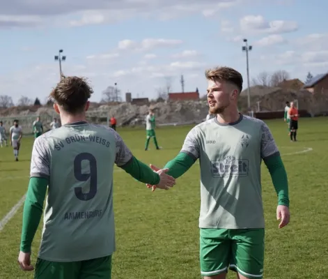 06.04.2025 SV G/W Ammendorf vs. Kine em Halle