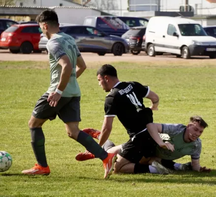 12.04.2025 Reideburger SV vs. SV G/W Ammendorf