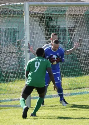 26.04.2025 SV G/W Ammendorf vs. SG HTB Halle