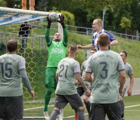 17.05.2025 Turbine Halle II vs. SV G/W Ammendorf