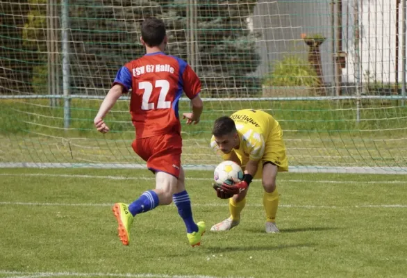 15.06.2025 SV G/W Ammendorf vs. FSV 67 Halle
